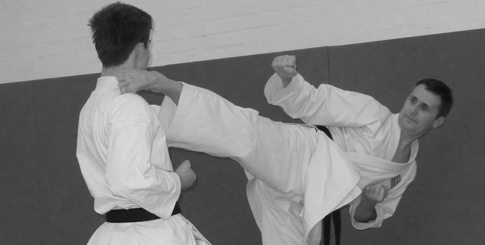 Combat Martial Arts