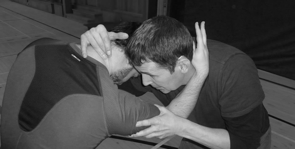 Combat Martial Arts System