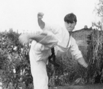 Shiki History - Simon Budden