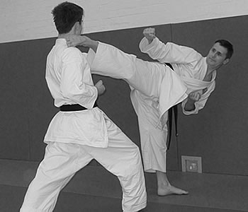 Martial Arts Combat System